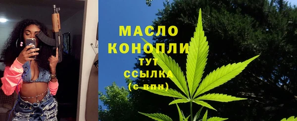 гидра Арсеньев